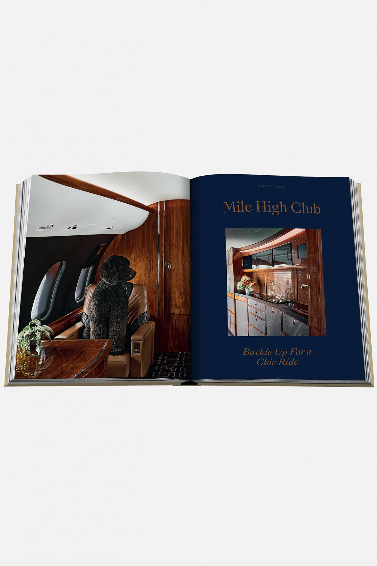 Книга Assouline Ken Fulk: The Movie in My Mind Книга Assouline Ken Fulk: The Movie in My Mind