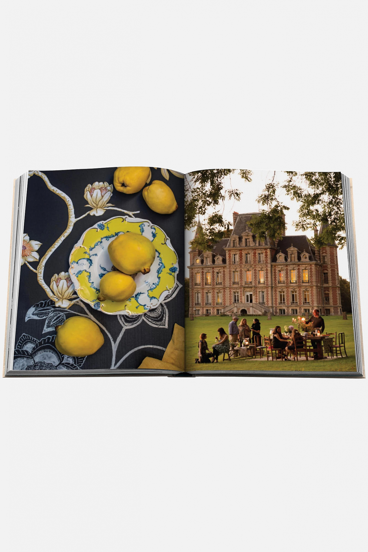 Книга ASSOULINE Chateau Life Книга ASSOULINE Chateau Life