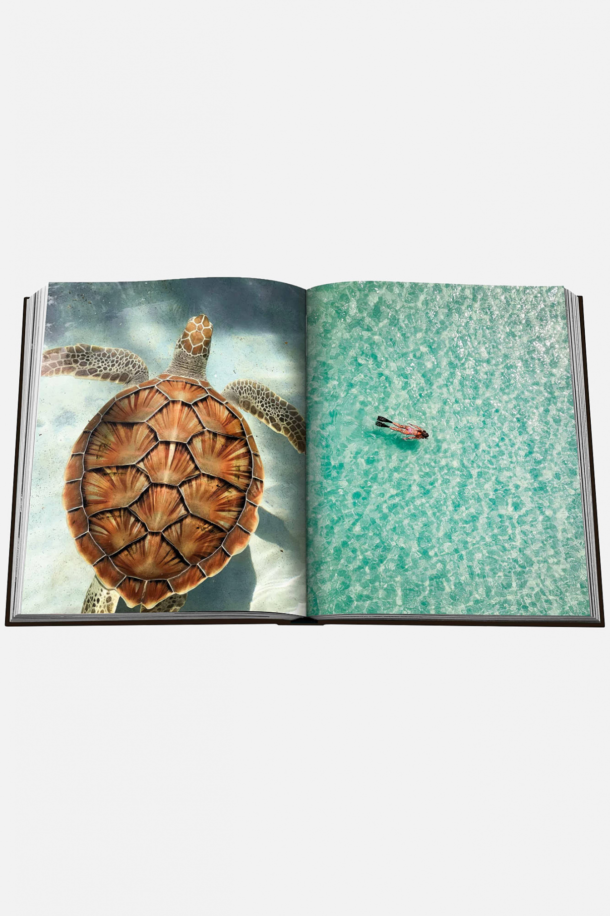 Книга ASSOULINE Jamaica Vibes Книга ASSOULINE Jamaica Vibes