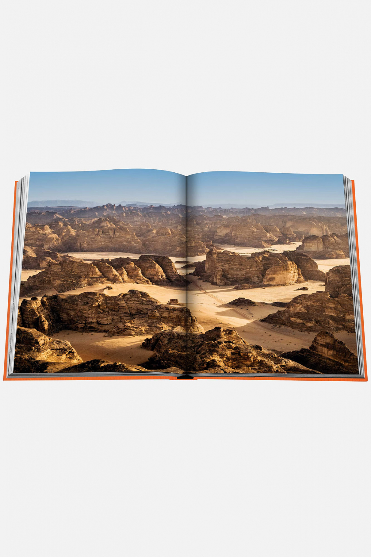 Книга ASSOULINE Alula Ever Книга ASSOULINE Alula Ever