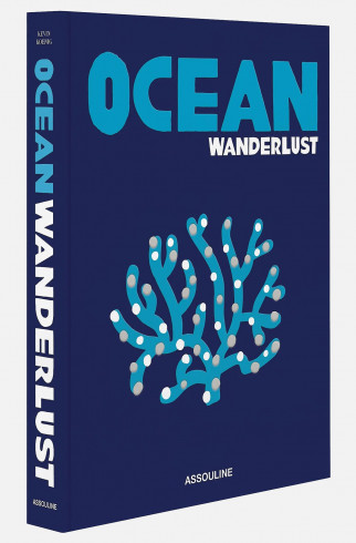 Книга ASSOULINE Ocean Wanderlust ,  арт. 9781649802644 купить в интернет-магазине