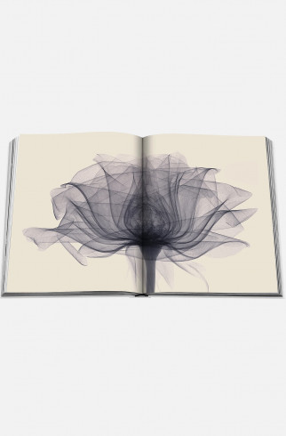 Книга ASSOULINE Flowers: Art & Bouquets ,  арт. 9781614285144 купить в интернет-магазине