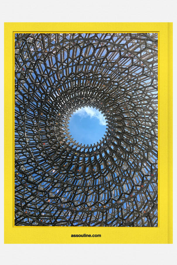 Книгa Assouline Travel by Design