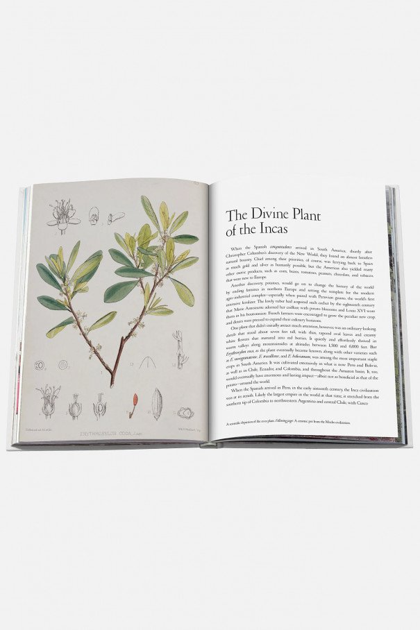 Книга ASSOULINE Cocaïn: History & Culture